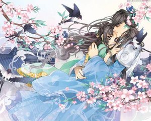 深入了解 大象传媒伊甸园免费观看版在线